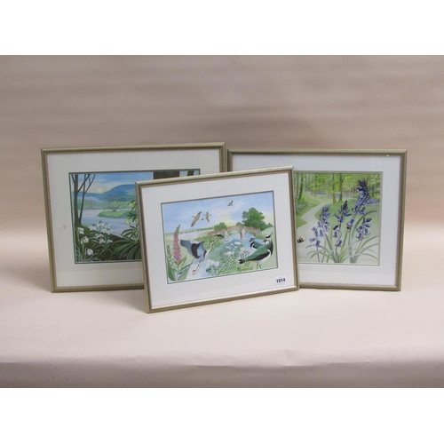 1014 - PAT BARBROOK - THREE F/G WATERCOLOURS, RURAL SUBJECTS, ONE 21CM X 30CM AND TWO 26CM  X 36CM