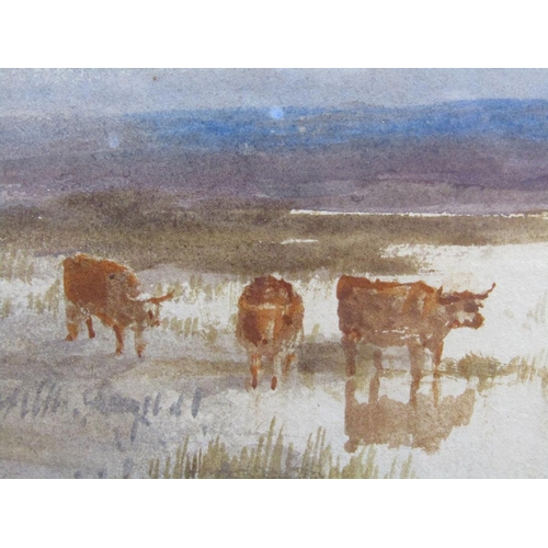 1042 - EDWARD TUCKER 1830-1909, THREE CATTLE IN A MOORLAND SETTING, SIGNED WATERCOLOUR F/G 25 x 37 cms