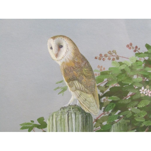 1043 - D A TURNBULL - BARN OWL AND FARM BUILDING, SIGNED WATERCOLOUR F/G 30 x 37 cms