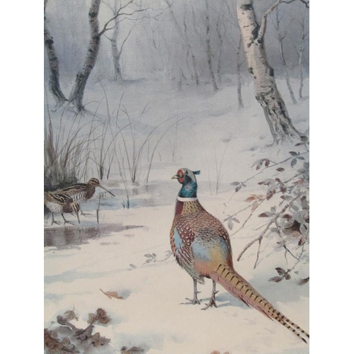 1055 - J C HARRISON - STAMPED COLOURED PRINT, PHEASANTS AND TWO WOODCOCK IN WINTER SETTING, TOGETHER WITH O... 