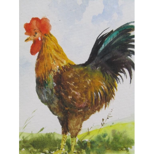 1071 - WILFRED PARKER - A COLLECTION OF FIVE FRAMED WATERCOLOURS, DOMESTIC FOWL, FRUIT, COTTAGE AND FIRST W... 