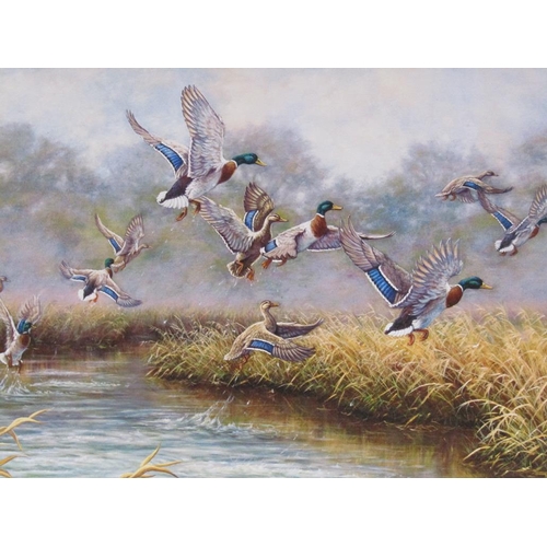 1106 - R M BROOKS - DUCKS RISING, SIGNED, OIL ON CANVAS, FRAMED, 60CM X 90CM