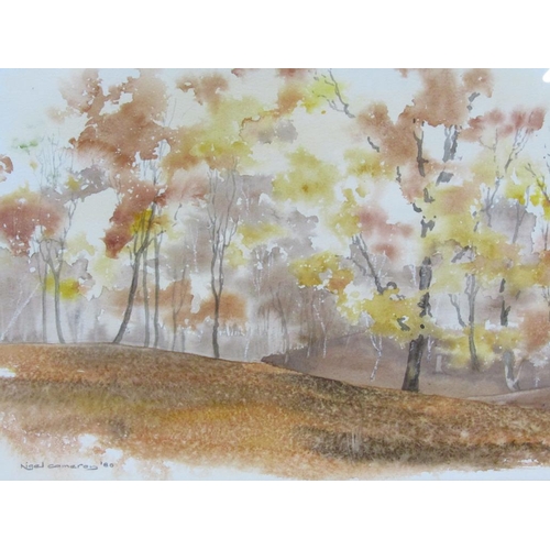 1112 - NIGEL CAMERON - AUTUMN WOODLAND SETTING, SIGNED WATERCOLOUR, F/G, 28CM X 47CM