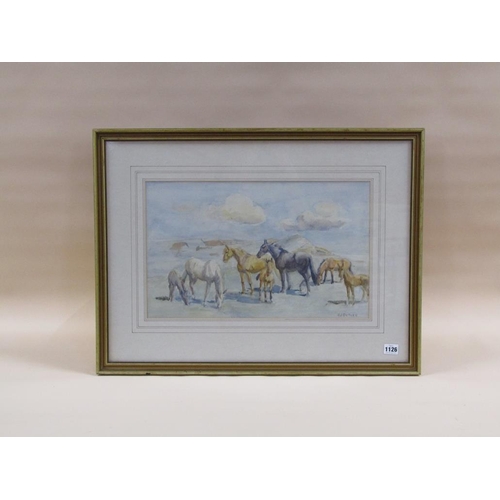 1126 - H J BUTLER - WILD HORSES, SIGNED WATERCOLOUR, F/G, 30CM X 50CM