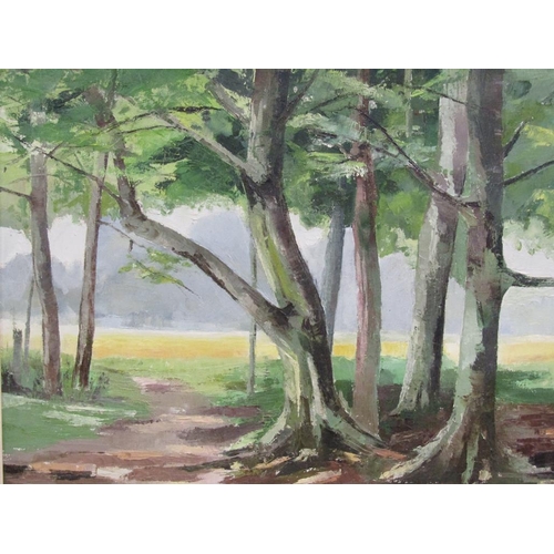 1132 - OLIVE WALKER 71 - TREES ON THE ASHRIDGE ESTATE, SIGNED IN MONO, OIL ON CANVAS, FRAMED, 48CM X 60CM