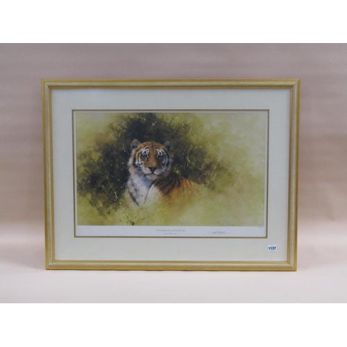 1137 - DAVID SHEPHERD - 'A WORKING SKETCH FOR A PAINTING OF A TIGER', COLOURED PRINT, SIGNED IN PENCIL, F/G... 