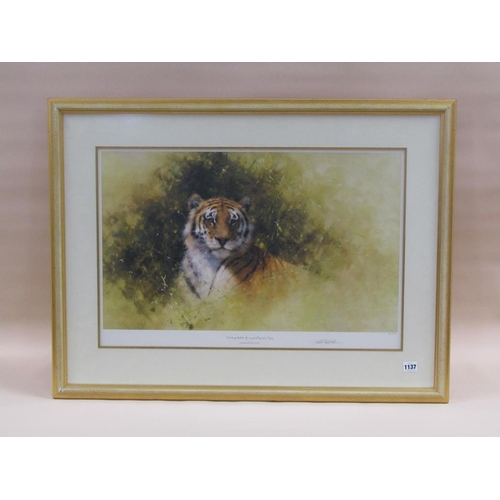 1137 - DAVID SHEPHERD - 'A WORKING SKETCH FOR A PAINTING OF A TIGER', COLOURED PRINT, SIGNED IN PENCIL, F/G... 