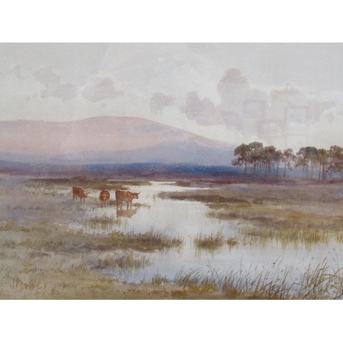 1147 - EDWARD TUCKER 1830/1909 - MOORLAND SETTING WITH CATTLE AND PINE TREES, SIGNED, WATERCOLOUR, F/G, 25C... 