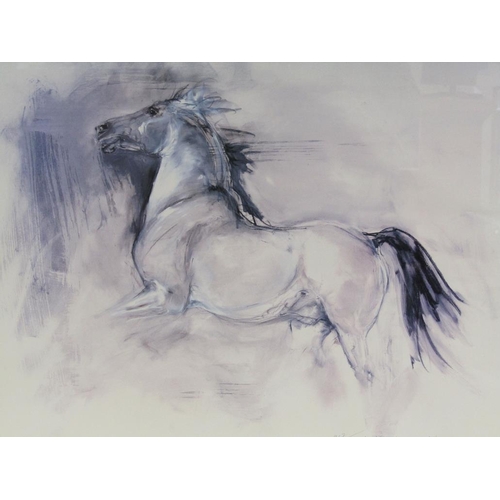 1156 - L KERMAN 98 - WILD STALLION, PRINT, F/G, 49CM X 67CM