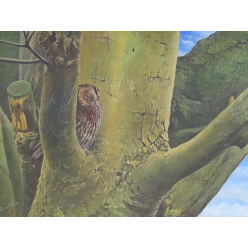 1157 - RICHARD J SMITH - SLEEPING OWL, SIGNED OIL ON BOARD, FRAMED, 59CM X 90CM