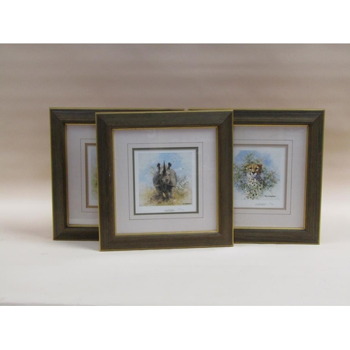 1181 - COLLECTION OF FIVE DAVID SHEPHERD COLOURED PRINTS - AFRICAN ANIMALS, EACH F/G, 20CM X 20CM