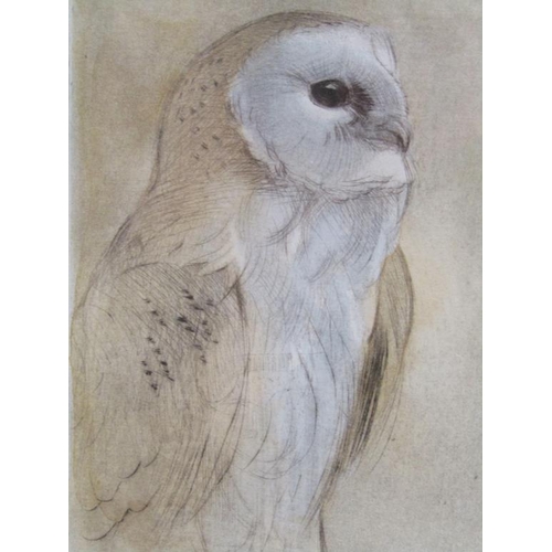 1192 - TWO FRAMED MINIATURE PRINTS - ORNITHOLOGICAL SUBJECTS, OWL & KNIGFISHER, EACH F/G APPROX 15CM X 10CM