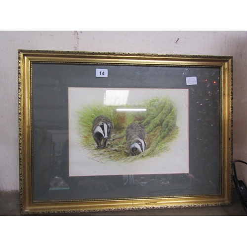 14 - M BROOKS - BADGERS, FRAMED WATERCOLOUR