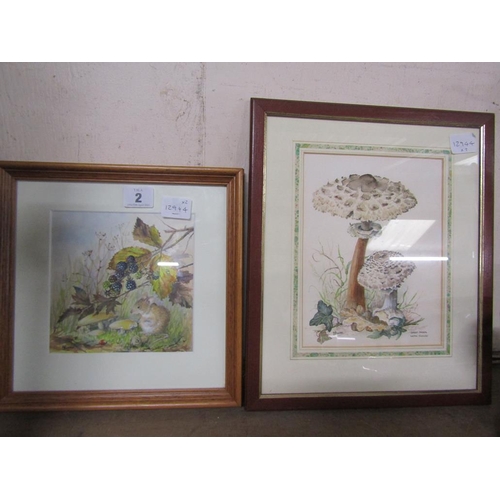 2 - TWO FRAMED WATERCOLOURS - MUSHROOMS & MICE