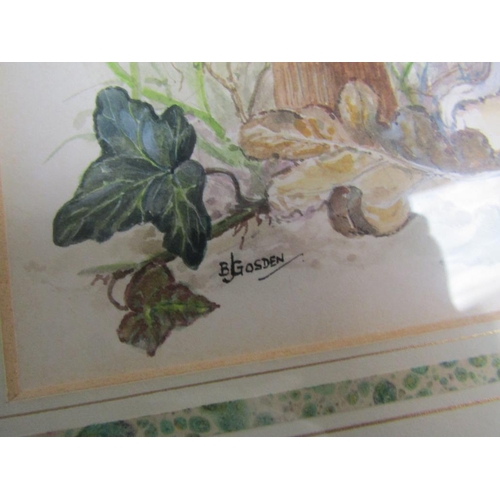 2 - TWO FRAMED WATERCOLOURS - MUSHROOMS & MICE