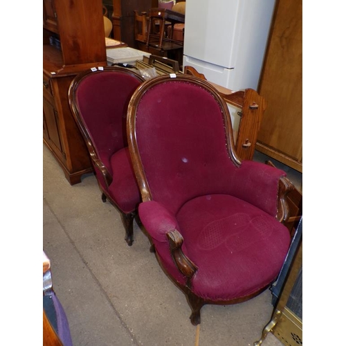 858 - TWO VICTORIAN SHOW FRAMED ARMCHAIRS