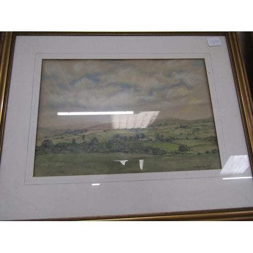 138 - FRAMED WATERCOLOURS; OIL