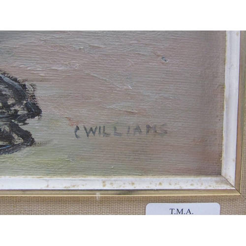 1124 - C WILLIAMS - SORTING THE CRAB POTS, SIGNED OIL ON BOARD, FRAMED, 44CM X 59CM