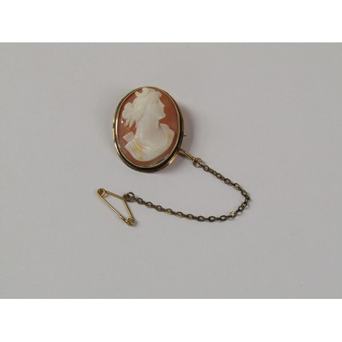 1519 - CAMEO BROOCH