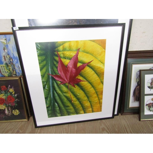 178 - CONTEMPORARY FRAMED PHOTOGRAPHIC PRINTS - BOTANICAL