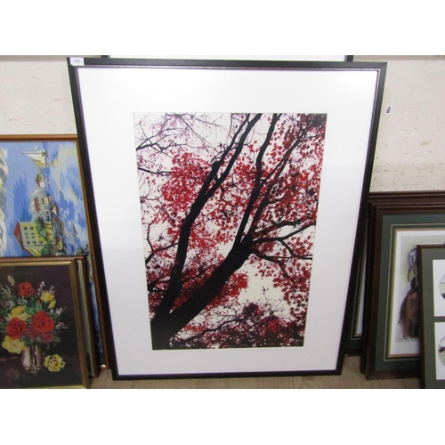 178 - CONTEMPORARY FRAMED PHOTOGRAPHIC PRINTS - BOTANICAL