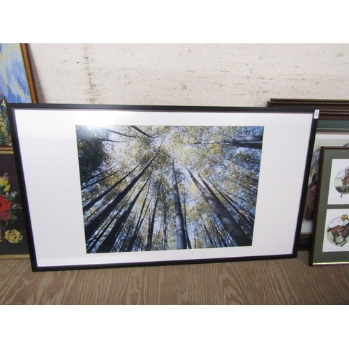 178 - CONTEMPORARY FRAMED PHOTOGRAPHIC PRINTS - BOTANICAL