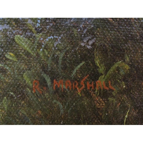 1122 - R MARSHALL - BLUEBELL WOOD, SIGNED OIL ON CANVAS, FRAMED, 50CM X 60CM