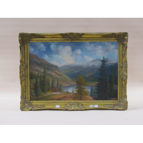 1124 - R MARSHALL - MOUNTAINOUS LANDSCAPE WITH LAKE, SIGNED OIL ON CANVAS, FRAMED, 50CM X 74CM