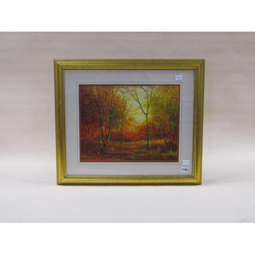 1126 - R MARSHALL - SUNLIT WOODLAND GLADE, MIXED MEDIA, F/G, 36CM X 46CM