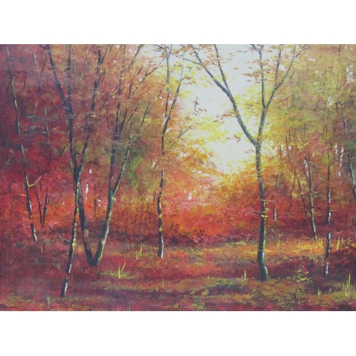 1126 - R MARSHALL - SUNLIT WOODLAND GLADE, MIXED MEDIA, F/G, 36CM X 46CM