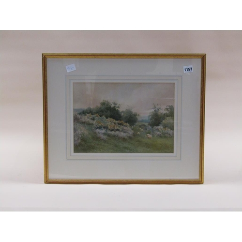 1153 - A ASHDOWN BOX - SHEEP GRAZING ON THE COMMON, SIGNED WATERCOLOUR, F/G, 25CM X 34CM