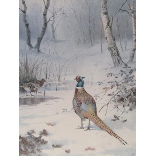 1161 - J C HARRISON - WINTER TIME PHEASANT AND WOODCOCK, COLOURED PRINT, SIGNED IN PENCIL, F/G, 49CM X 33CM