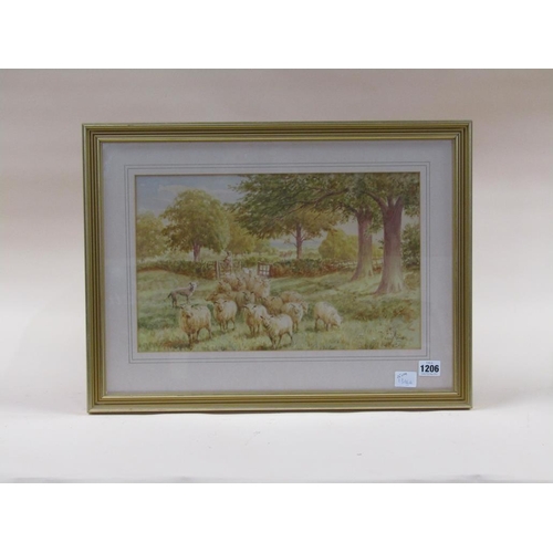 1206 - H J RHODES - SHEEP ENTERING NEW PASTURE, SIGNED WATERCOLOUR, F/G, 25CM X 40CM