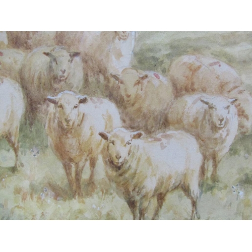 1206 - H J RHODES - SHEEP ENTERING NEW PASTURE, SIGNED WATERCOLOUR, F/G, 25CM X 40CM