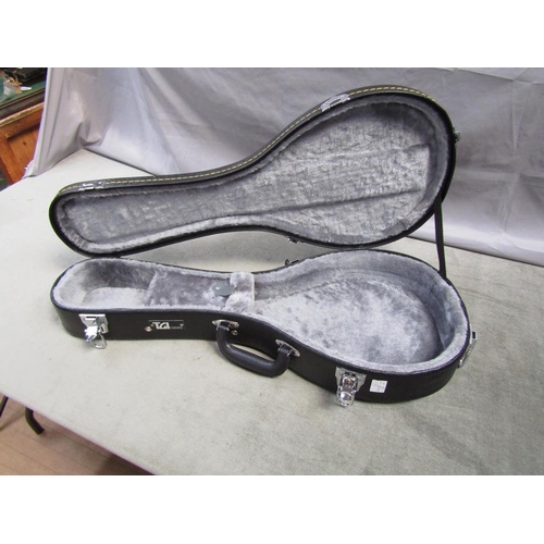 1333 - CASED VIOLIN AND UKELELE CASE