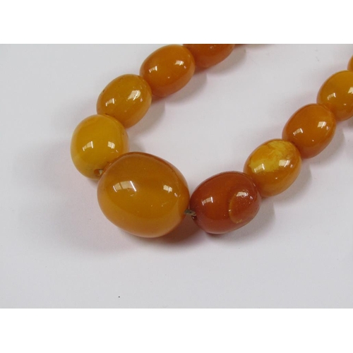 1541 - STRING OF HONEY AMBER BEADS - 66cms L, 24.5g