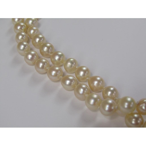 1627 - DOUBLE STRING OF PEARLS WITH 14CT GOLD CLASP