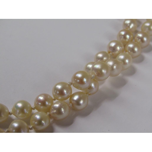 1627 - DOUBLE STRING OF PEARLS WITH 14CT GOLD CLASP