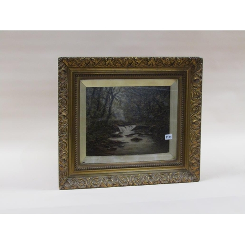 1171 - FRAMED VICTORIAN OIL - WOODLAND RIVERSCAPE, 29CM X 38CM