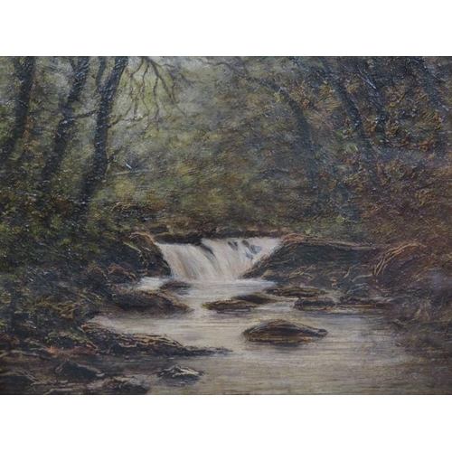 1171 - FRAMED VICTORIAN OIL - WOODLAND RIVERSCAPE, 29CM X 38CM