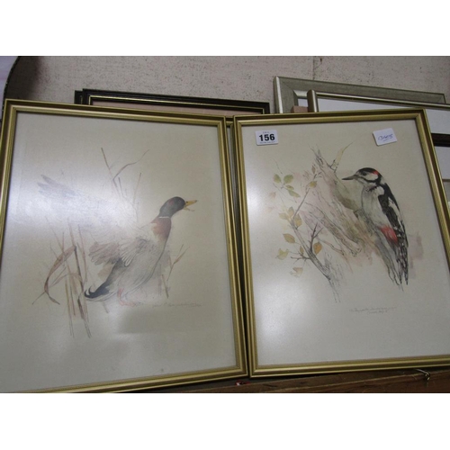 156 - COLLECTION OF FRAMED PRINTS - BIRDS