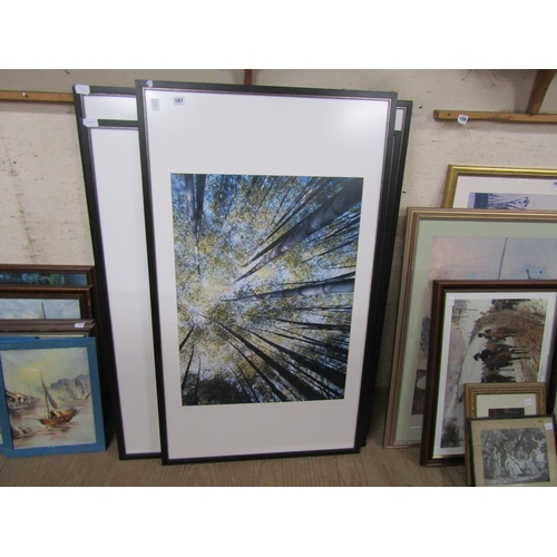 167 - PHOTOGRAPHIC FRAMED PRINTS