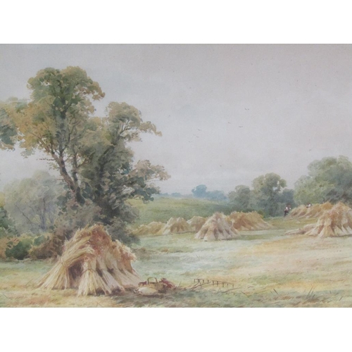 224 - H H Parker - Cornfield at Stratford On Avon, signed watercolour, framed and glazed, 37cm x 54cm.