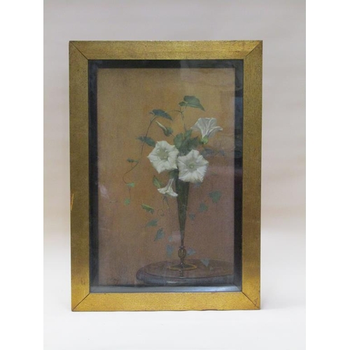 253 - Alfred Frederick William Hayward - A vase of flowers and ivy, signed, oil on canvas, framed and glaz... 