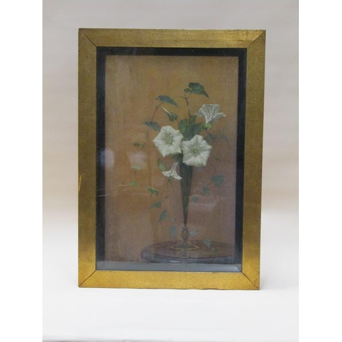 253 - Alfred Frederick William Hayward - A vase of flowers and ivy, signed, oil on canvas, framed and glaz... 