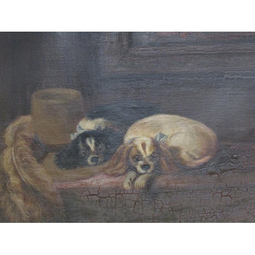 257 - Unsigned 19c - Cavaliers pets, oil on canvas, framed, 70cm x 90cm.