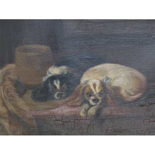 257 - Unsigned 19c - Cavaliers pets, oil on canvas, framed, 70cm x 90cm.