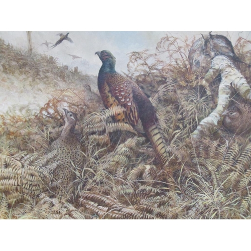 270 - Ken Turner - Pheasants in bracken, signed oil on canvas, framed, 65cm x 106cm.