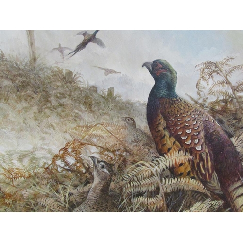 270 - Ken Turner - Pheasants in bracken, signed oil on canvas, framed, 65cm x 106cm.