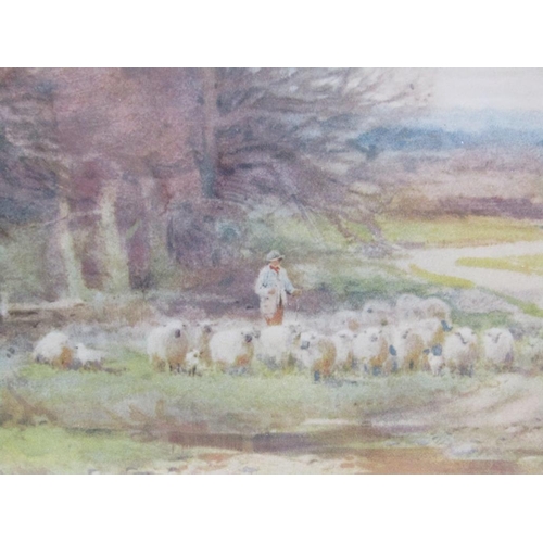 223 - Sylvester Stannard - A shepherd with his flock, signed watercolour, framed and glazed, 26.5cm x 42cm... 